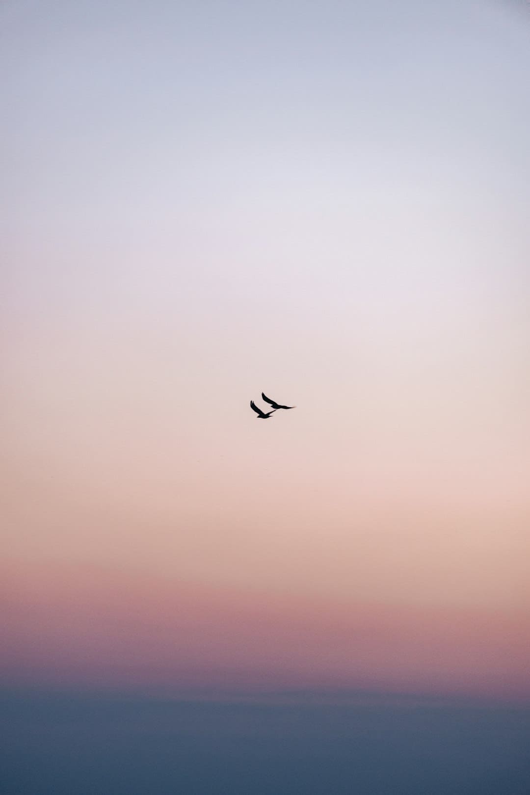 杨紫李现《秀丽芳华》定档6月30日，牡丹重耀续写盛唐篇章